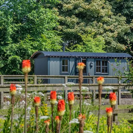 Swaledale-ukc5023 Holiday home *